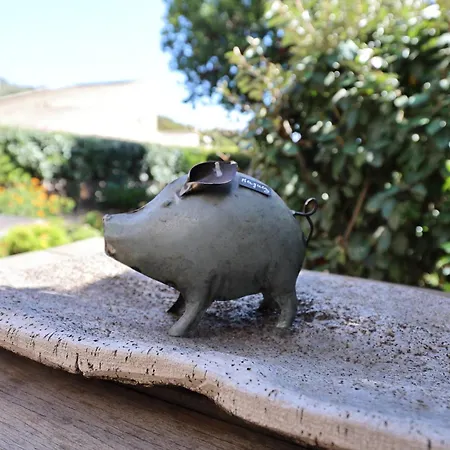 U Serenu - Piscine, Jacuzzi & Vue *